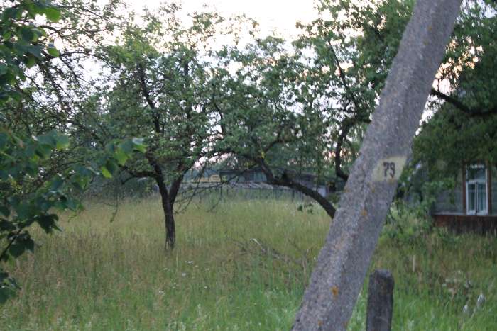 Дом в городском поселке, ул. Суражская, фотография 6