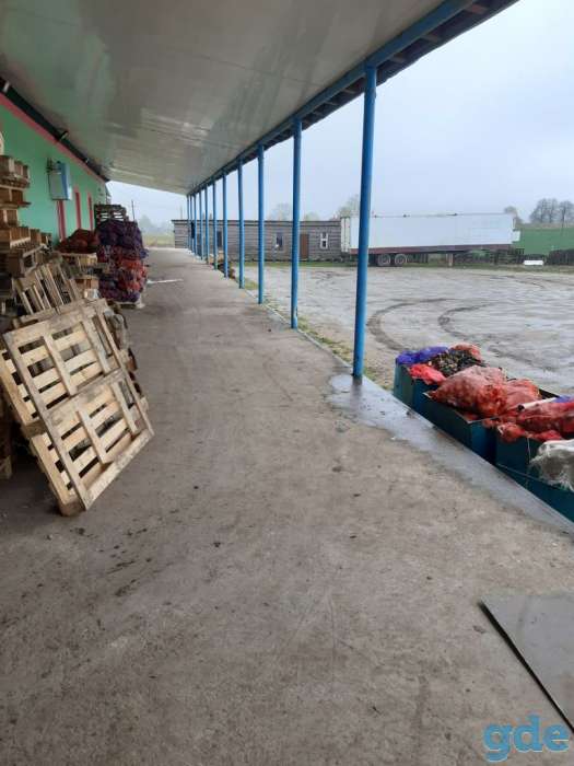 Аренда или продажа, южный окраина пос селец 1, фотография 2