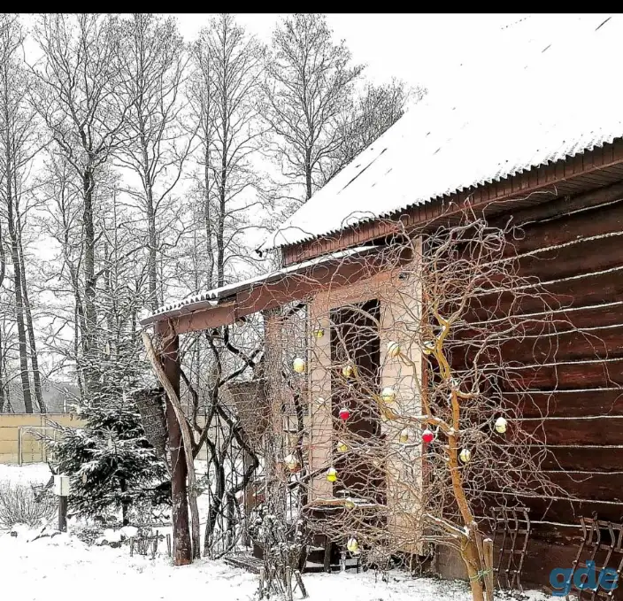 Усадьба в Беловежской пуще, Брестская район,деревня Вилы,21, фотография 1