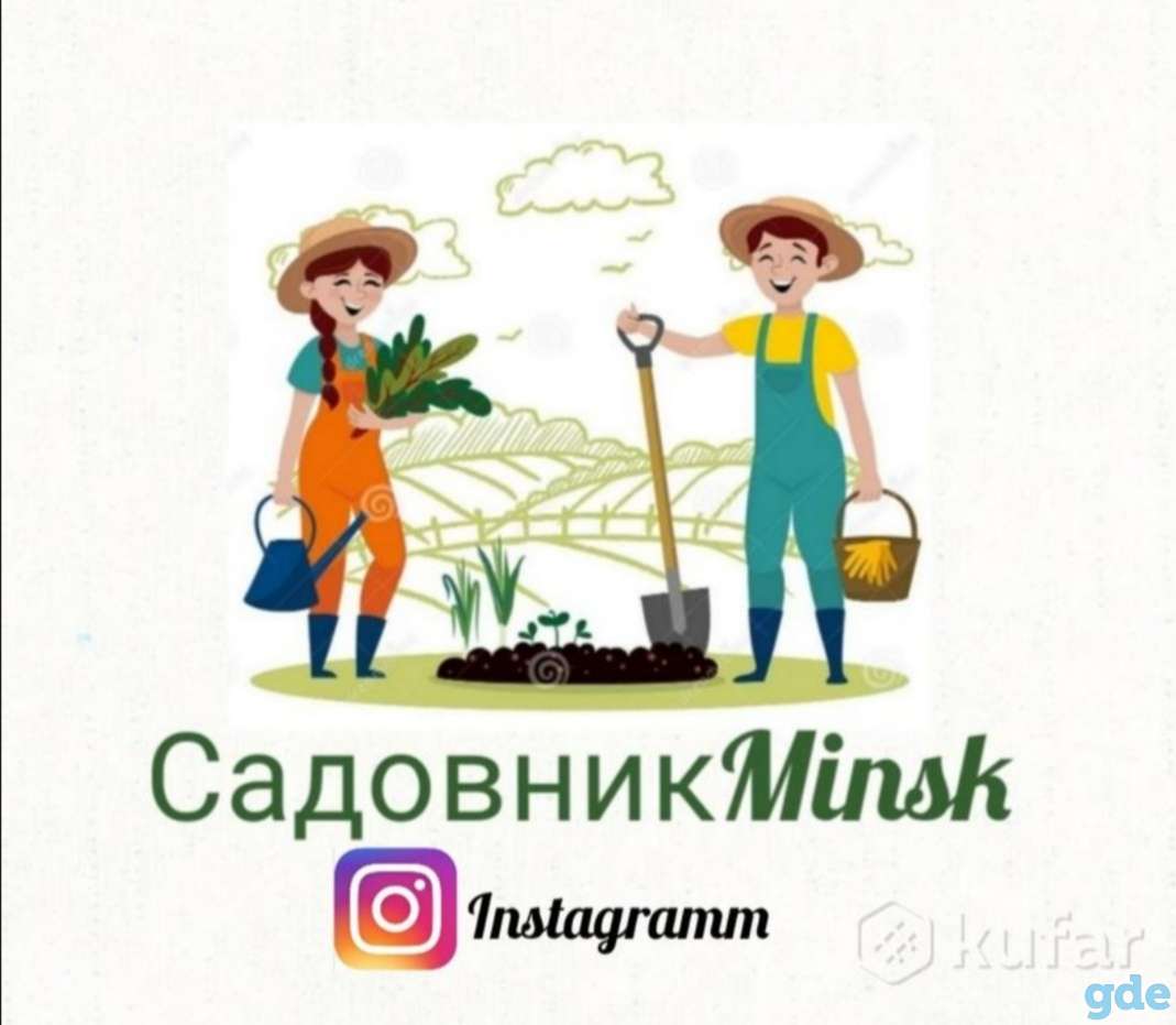 Уход за растениями. Благоустройство клумб, фотография 1