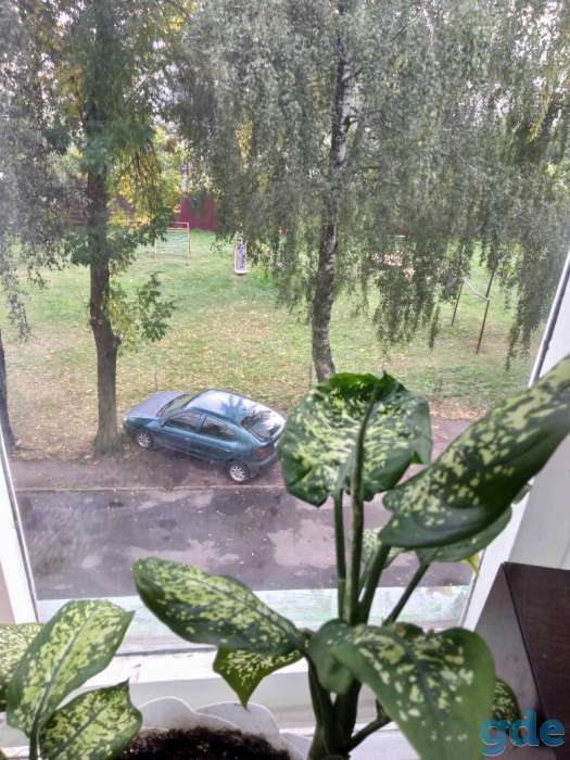 Продам 2-х комнатную квартиру в центре города, Рогачев, ул Ленина дом 67, фотография 1