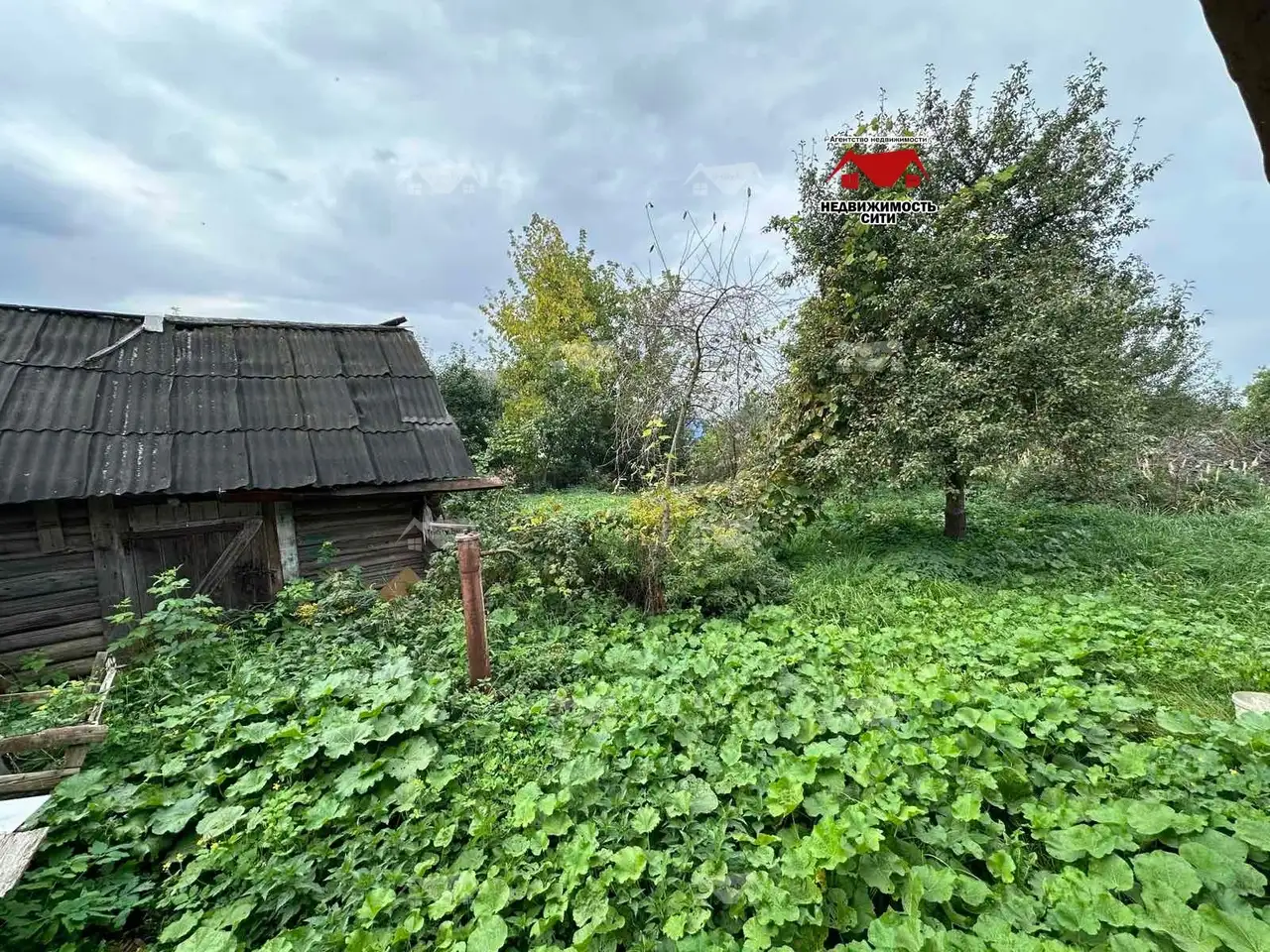 Жилой дом ул.Могилевская д.16 г.Горки, фотография 9