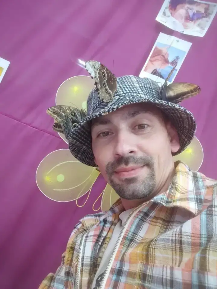Выставка живых бабочек, фотография 12