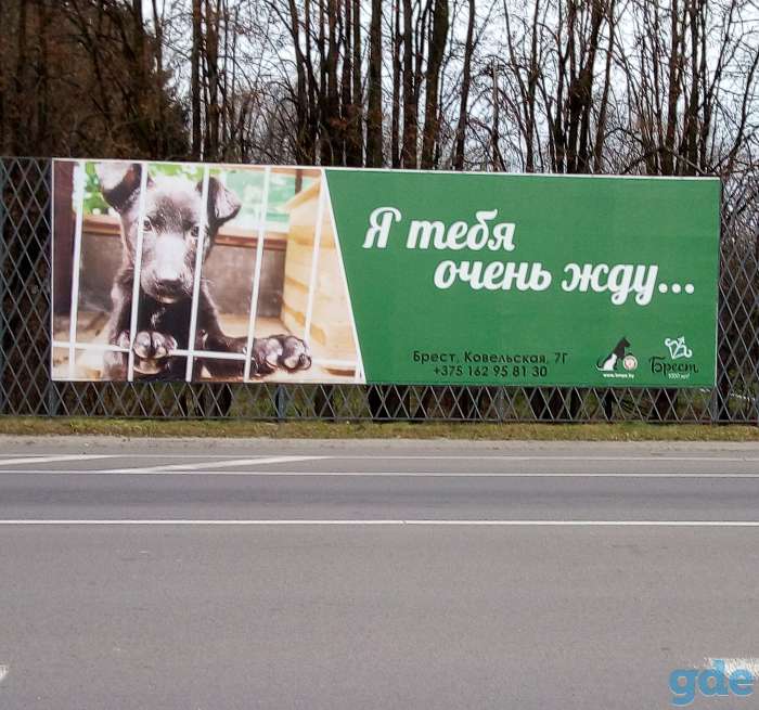 Собакам из Отлова БМПЗ нужна Ваша помощь!, фотография 1