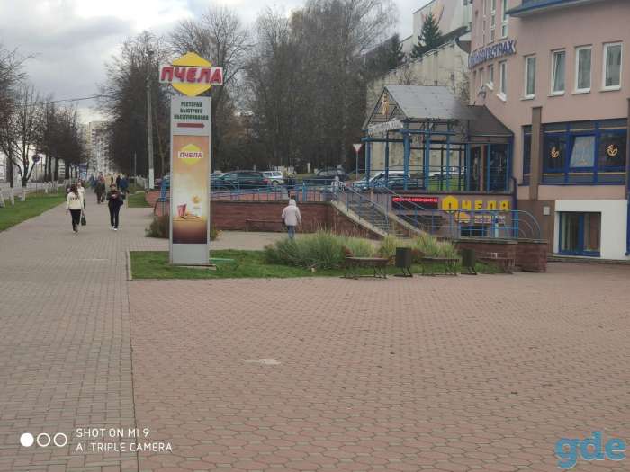 Сдается в аренду Торговое помещение, г. Витебск, просп. Московский, р-н Первомайский район, фотография 2