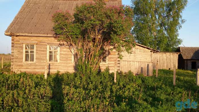 Продается дача - лес, рыбалка, охота, чистый воздух., фотография 3