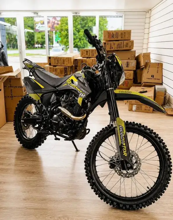 Мотоцикл GLADIATOR C3 CB300, фотография 2