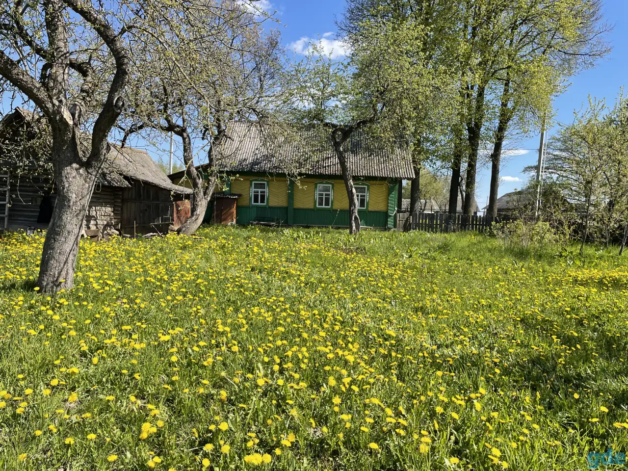 Дом,участок, Могилевский район,д. Азаровка, фотография 5