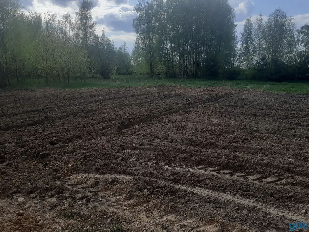 Сдам в аренду разработанный участок 20 соток под пшеницу или картошку., фотография 2