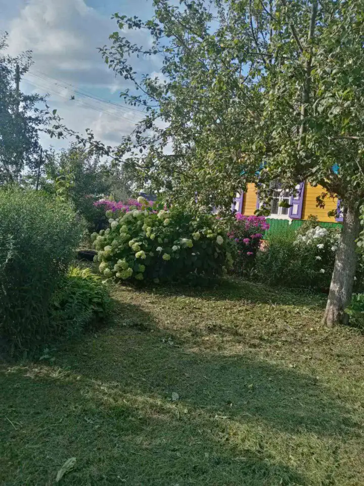 Продается дом, д.Засмужье, фотография 5