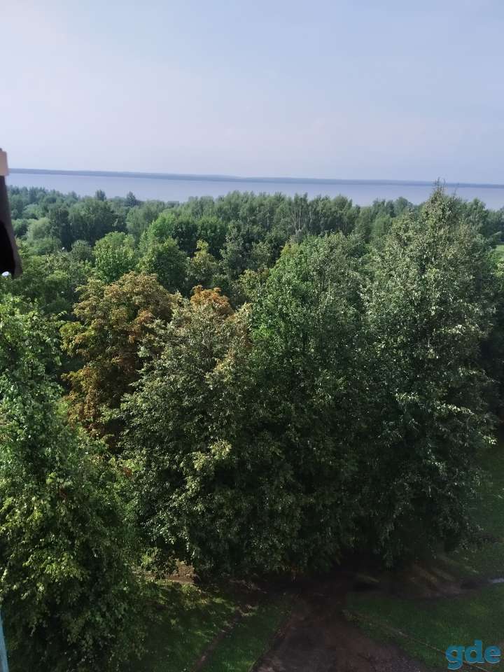 Срочно, фотография 2