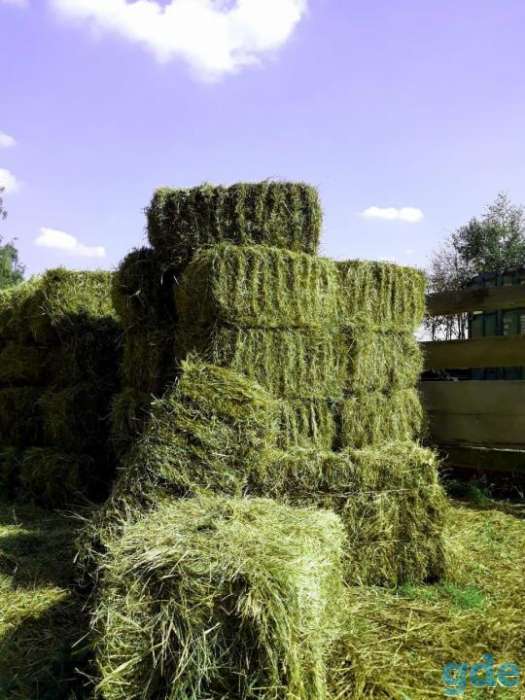 Сено в тюках и мешках, фотография 3