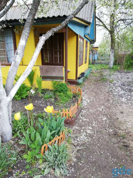 Дача, Речицкий р-н, д. Копань, с/т Копаньские зори., фотография 2
