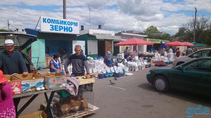 Аренда Торговые, Складские, Офисные помещения. г. Бобруйск., фотография 6