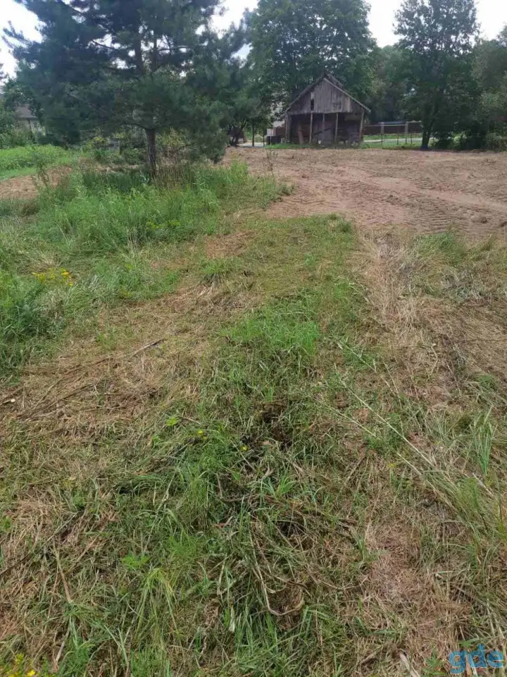 Ветхий дом, д. Светлица, ул. Октябрьская, д. 15, фотография 8