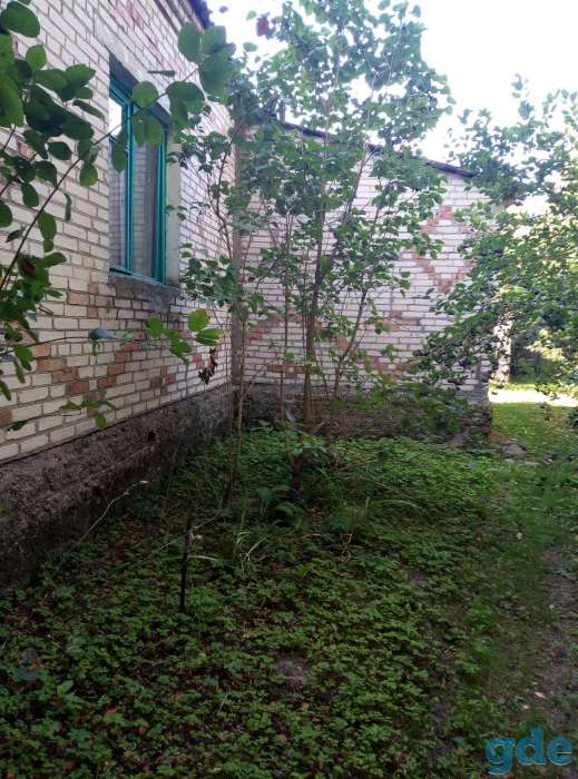 Дом на краю агро городка щитковичи, ЩИТКОВИЧИ, фотография 9