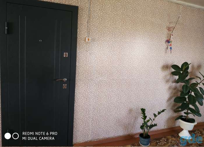 Описание, Витебская обл., Чашникский р/н, Ольшанка, фотография 5