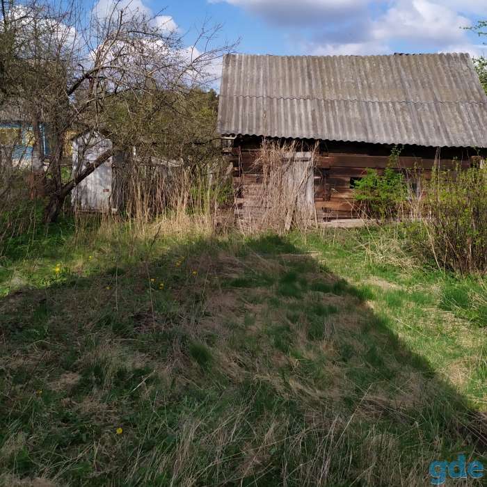 Дача,дом с участком, Могилевская область,деревня Антоновка,14 км от, фотография 4