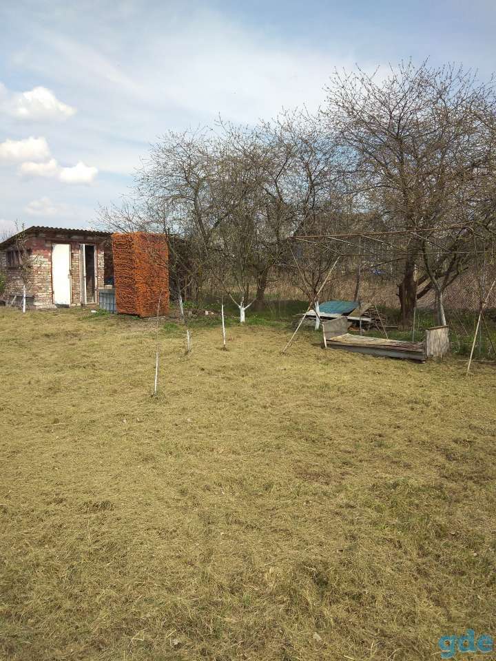 Продам дачный участок, Мотыкальский сельсовет, фотография 2