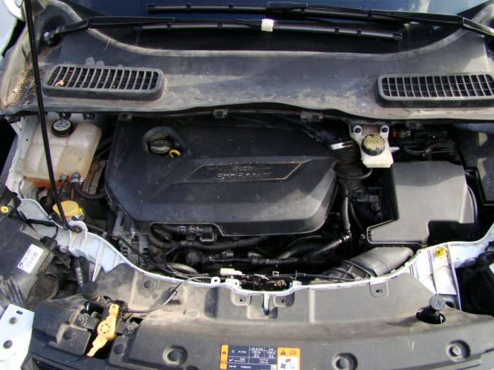 Американский Ford Escape 1.6, фотография 4