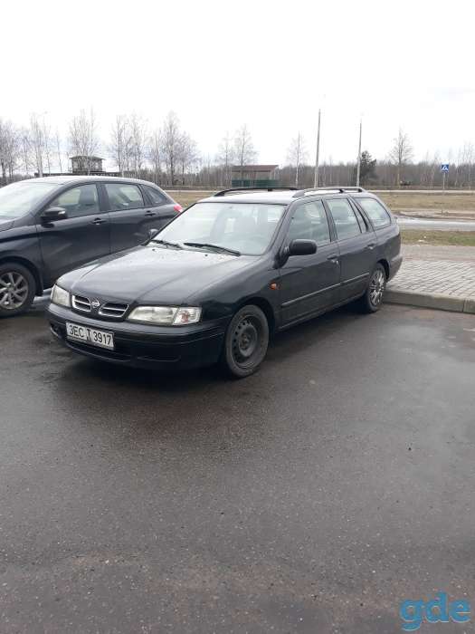 Продам Ниссан Nissan Primera, фотография 1