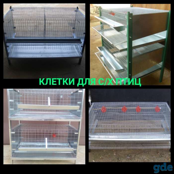 Клетки для с/х птиц, фотография 1