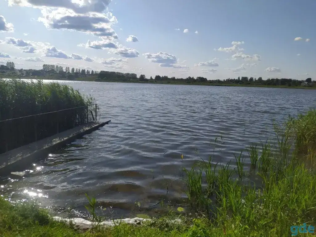 прекрасный участок на берегу озера Городно, Озёрная ул, 13, деревня Городнянский Мох, Новкинский сельсовет, район,, фотография 10