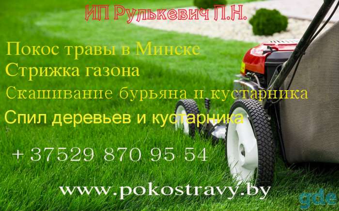 Покос травы и стрижка газона в Минске и области, фотография 1