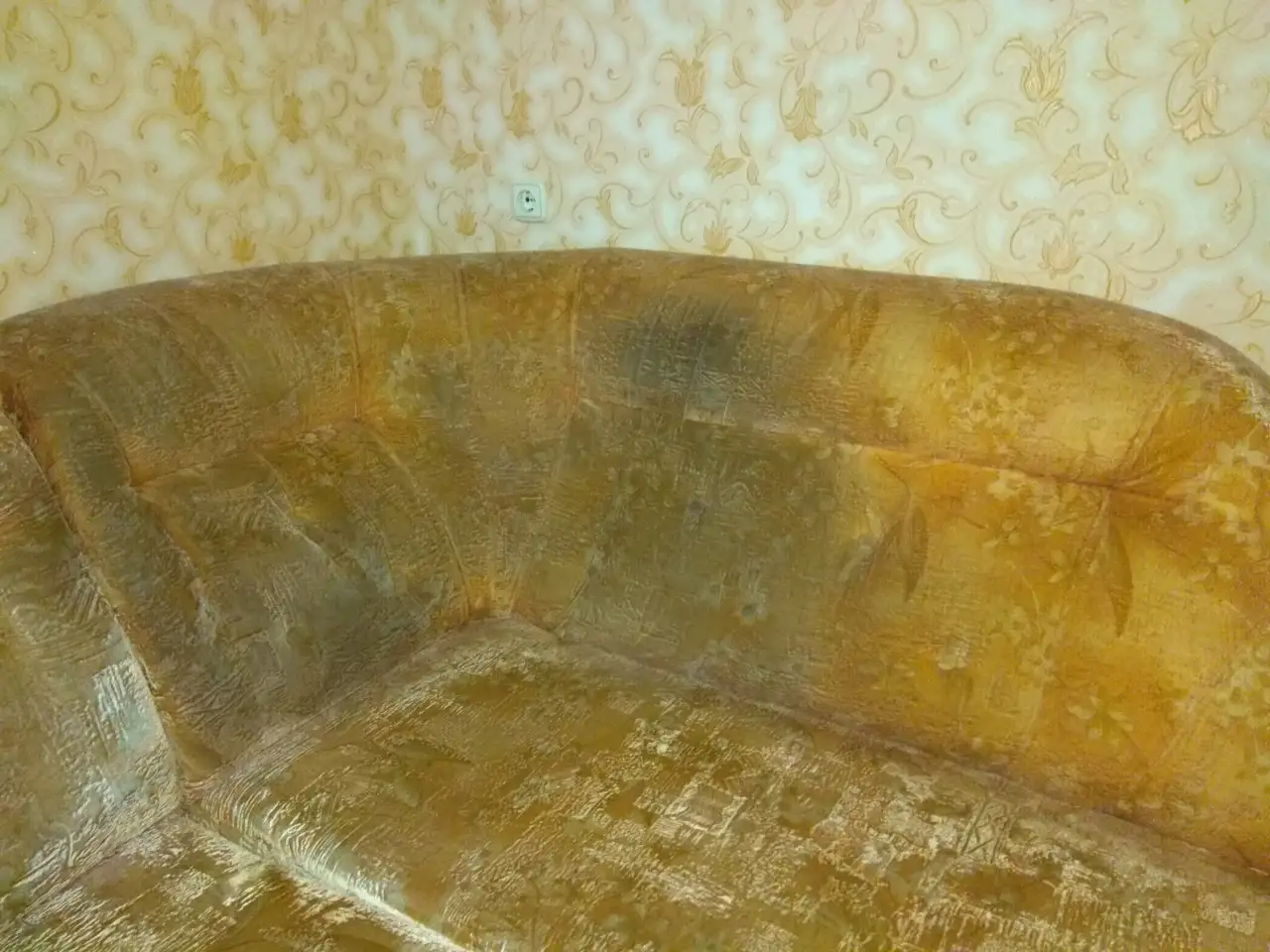 Химчистка диванов, матрасов, ковров на дому., фотография 1