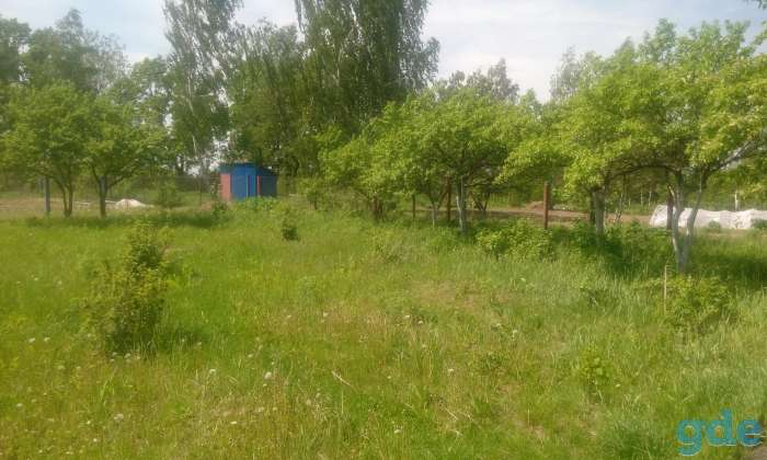 Продам земельный участок, фотография 2