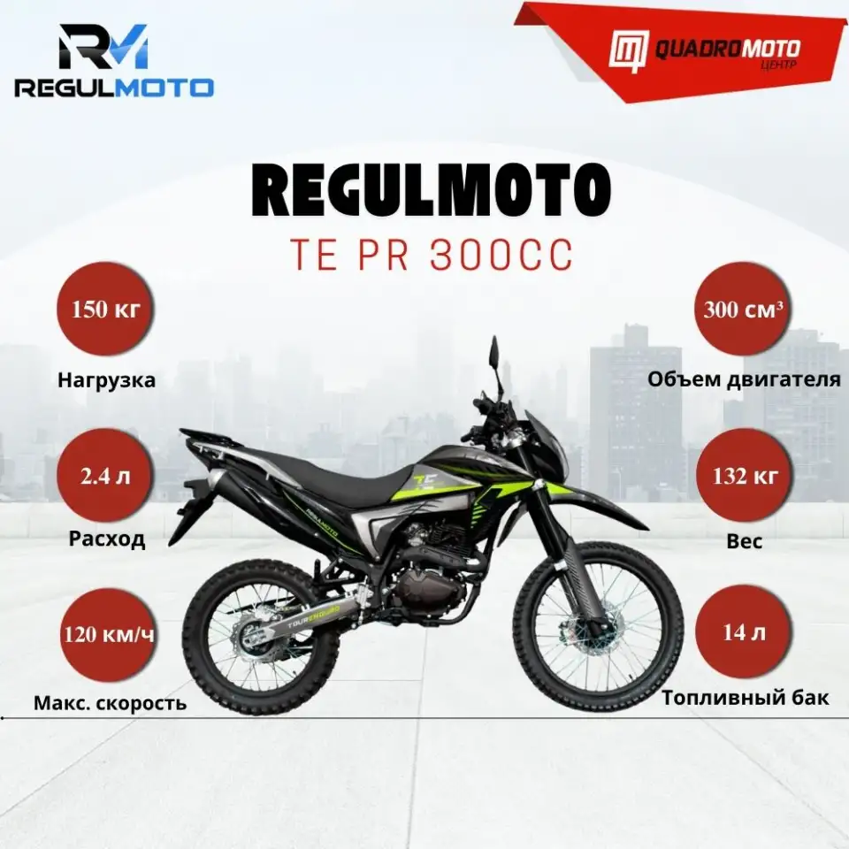 Мотоцикл Regulmoto TE PR 300cc, фотография 1