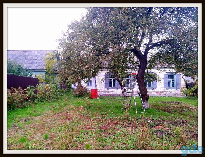 Дом. город Гомель, фотография 6