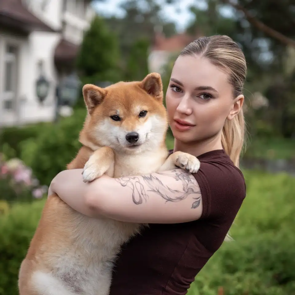Щенки Сиба Ину, фотография 3