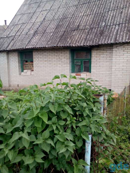 Продам дом, ул. Октябрьская, д.65-2, г. Поставы, Витебская область, фотография 1