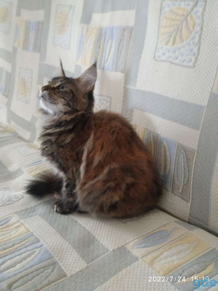 Мейкун, фотография 3