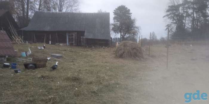Продам усадьбу на хуторе, р-н, фотография 5