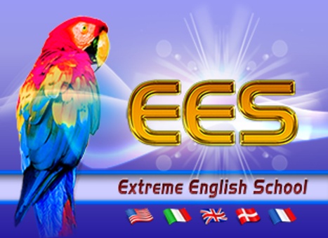Extreme English School: английский,шведский,итальянский,французский, фотография 1