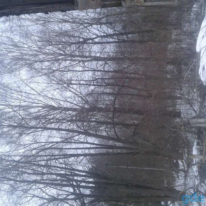 продам дом, Витебская  область, район, деревня Кушлики, фотография 8