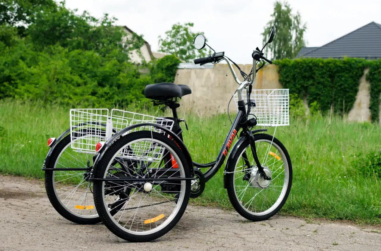 Электровелосипед AVM E-ALFA TRIKE 24, фотография 5
