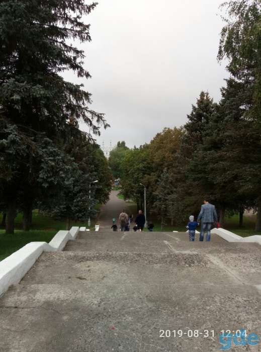 Участок с домом. Полоцк, фотография 6