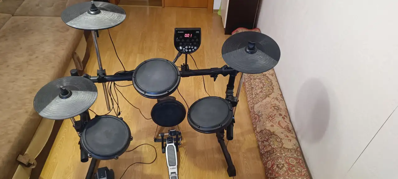 Электронная ударная установка ALESIS DM6, фотография 2