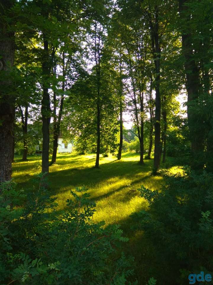Дом в живописной деревне рядом с Неманом, р-н, д. Лотевка, фотография 1