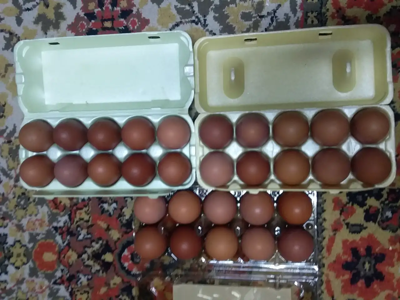 Яйцо инкубационное, фотография 2