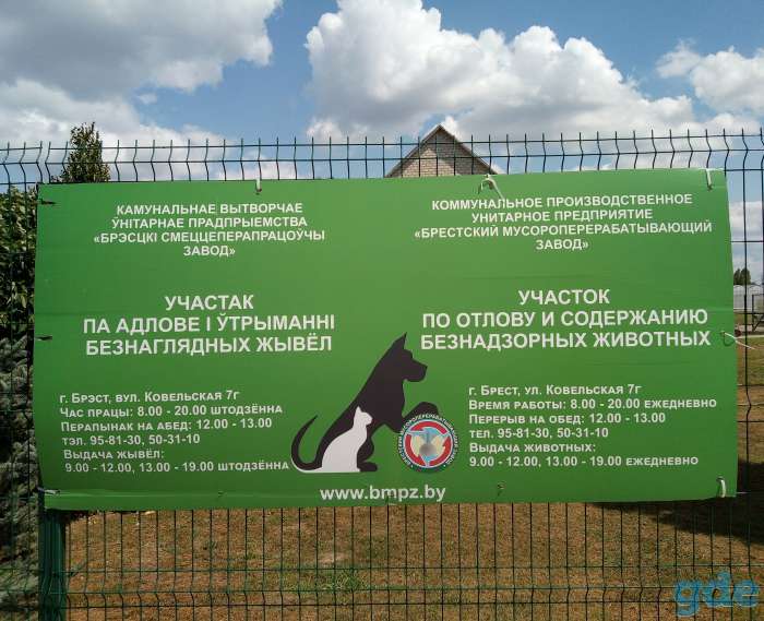 Собакам из Отлова БМПЗ нужна Ваша помощь!, фотография 2