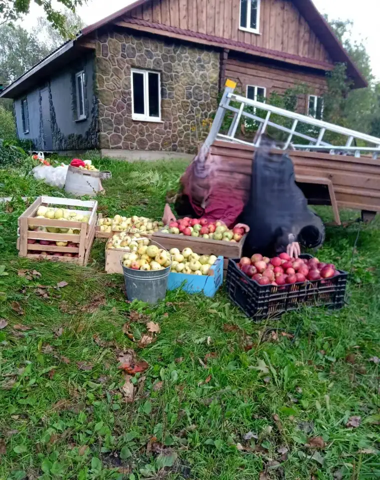 уникальный дом в курортной зоне по себестоимости с торгом, фотография 2