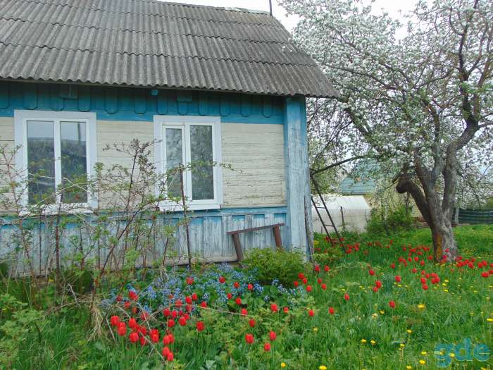 Дом, ул. Гуриновича,19, фотография 3