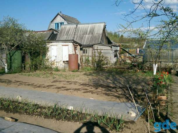 Срочно продается приватизированный садовый участок (5 соток) 30 км от г.Минска (около г.Раков) д. Бузуны., фотография 3