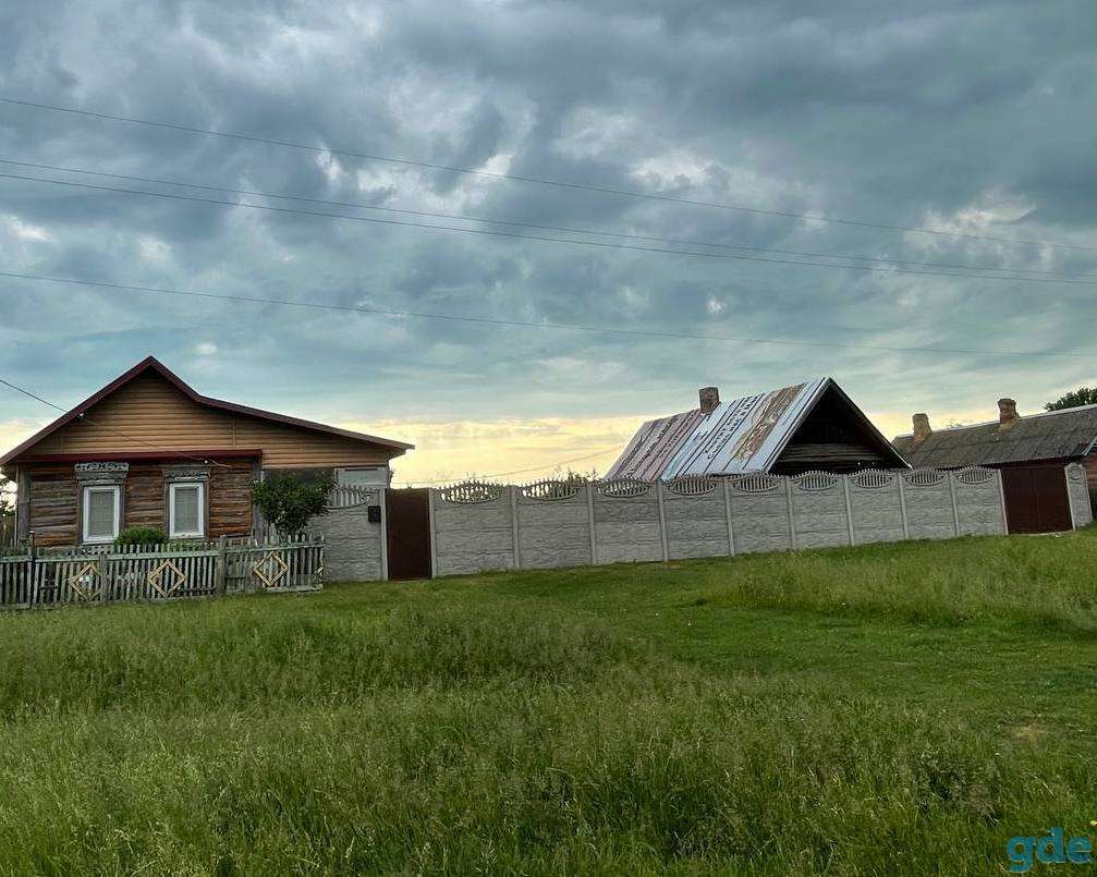 Продам дом с большой плантацией ягод и садом, Корма, фотография 1