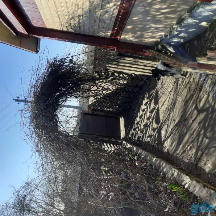 Продажа дома, Зарудичи,Сморгонский район,Гродненской обл., фотография 3