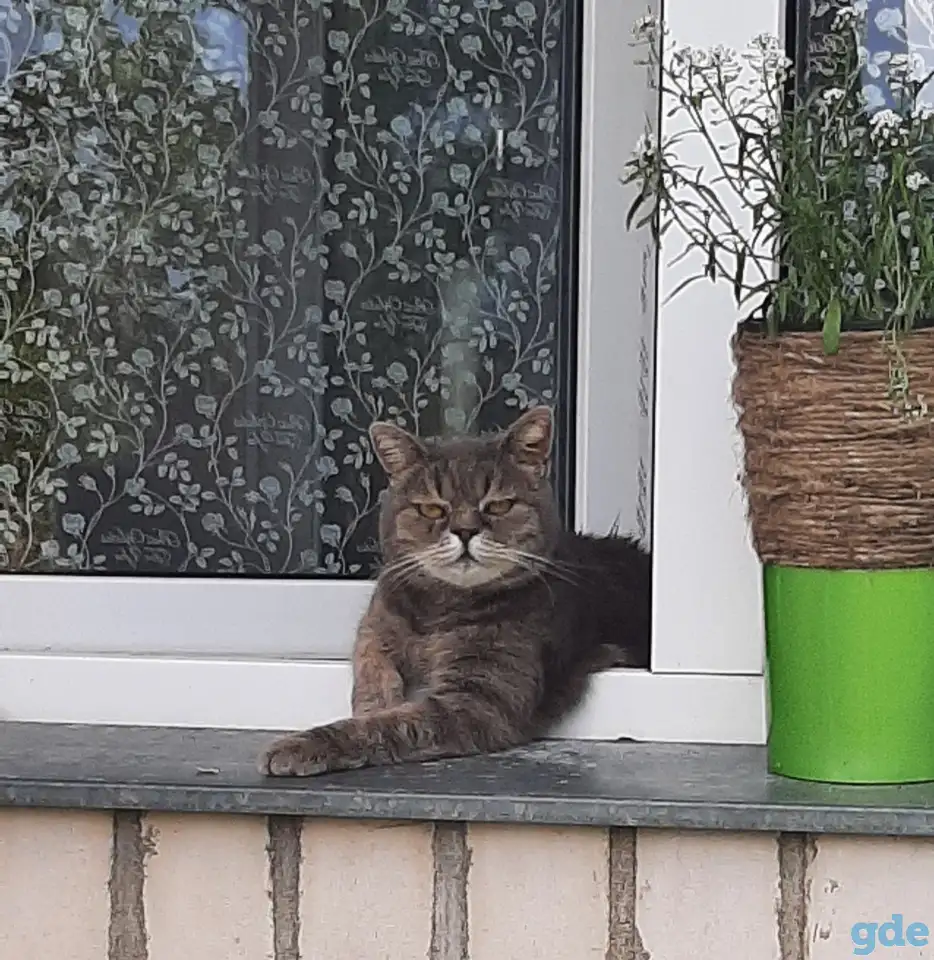 Предоставлю комнату в частном доме со всеми удобствами для пожилых людей., фотография 1